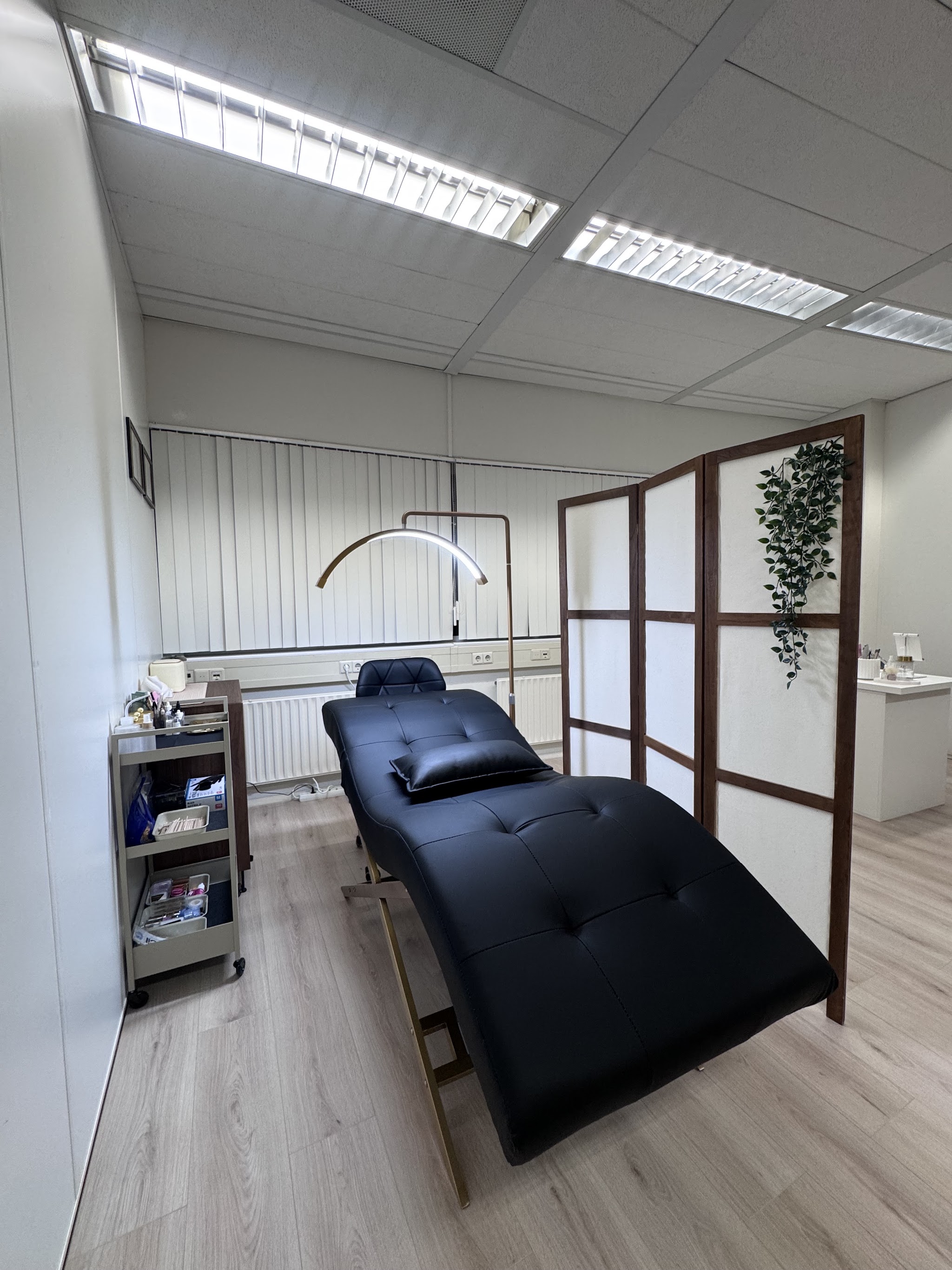De behandelkamer met een kamerscherm en een behandelbed